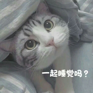 欧美淫荡人妻
